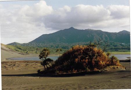 Tanna island